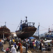 Essaouira (26)